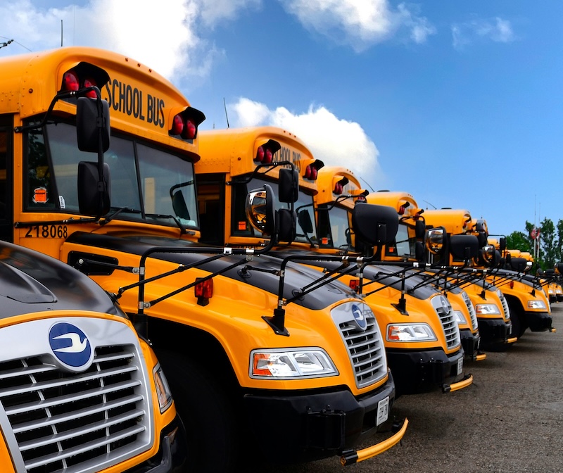 School Bus Company